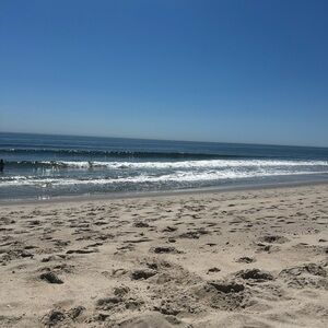 Meet your Posher, Lynn marie